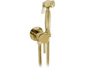 Гигиенический душ со смесителем Giulini Futuro RU-GIU.FSH25/1531 золото